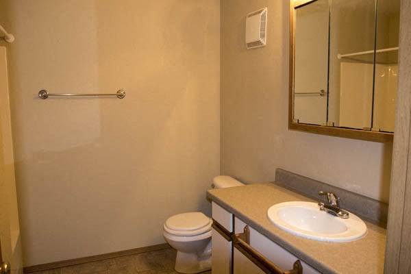 a bathroom with a sink toilet and a mirror