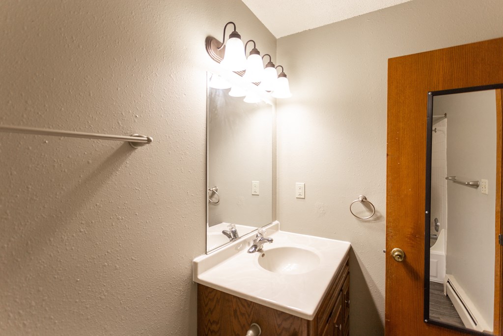 a bathroom with a sink and a mirror