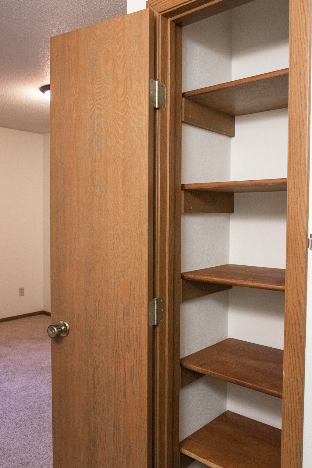 a closet in a room with shelves and a door open