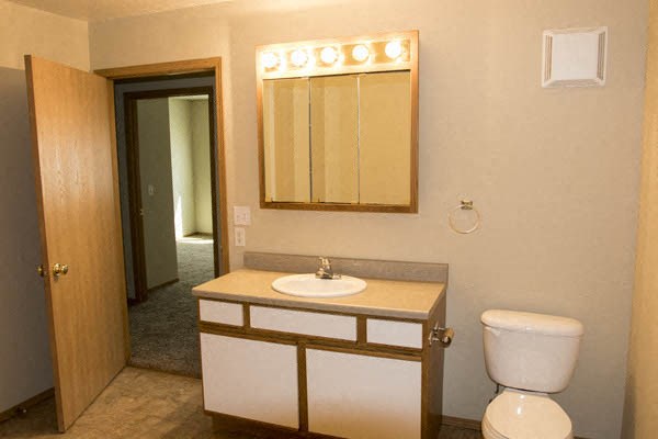a bathroom with a toilet and a sink and a mirror