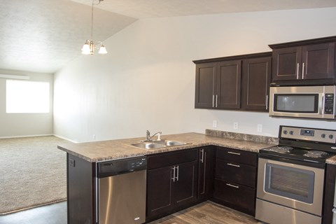 an empty kitchen with dark cabinets and stainless steel appliances