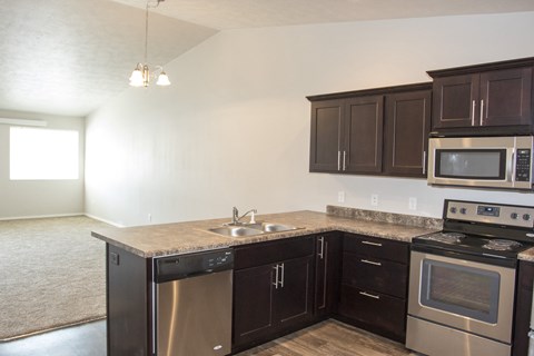an empty kitchen with dark cabinets and stainless steel appliances