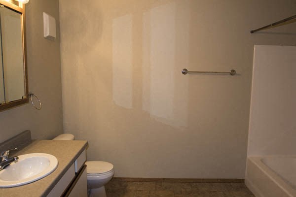 a bathroom with a sink and a toilet