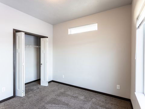 a living room with carpet and a door to a closet