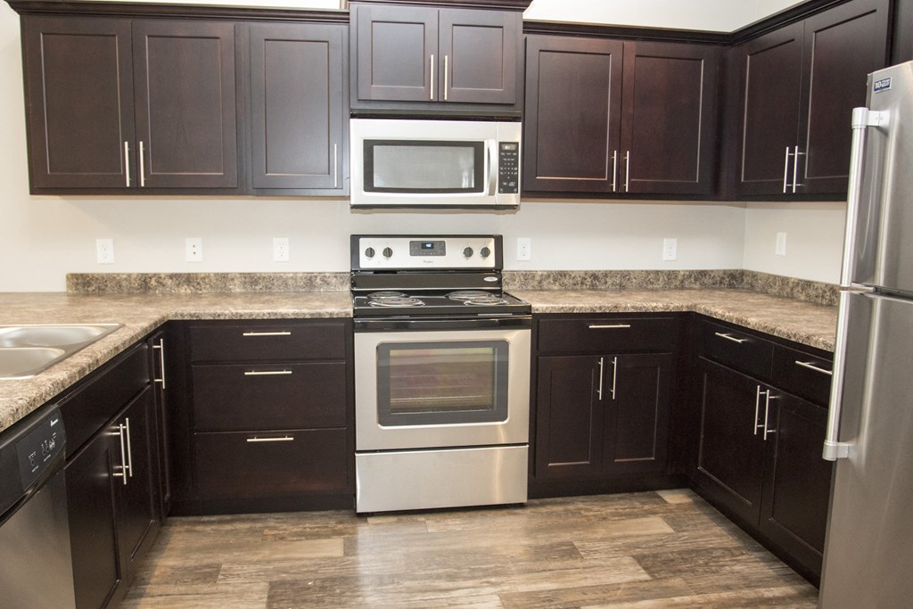 a kitchen with black cabinets and stainless steel appliances