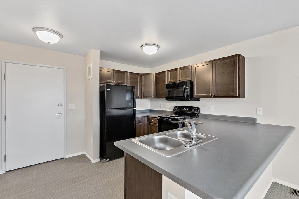 Kitchen with black appliances