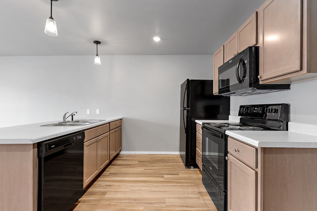 kitchen with black appliances