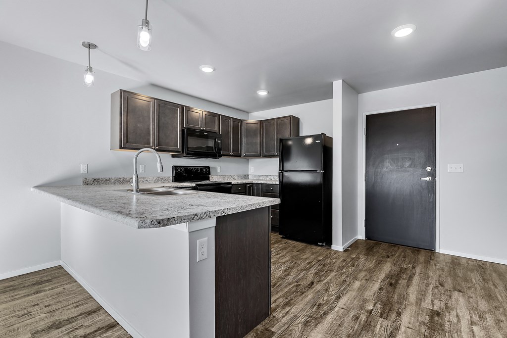 Kitchen with black appliances