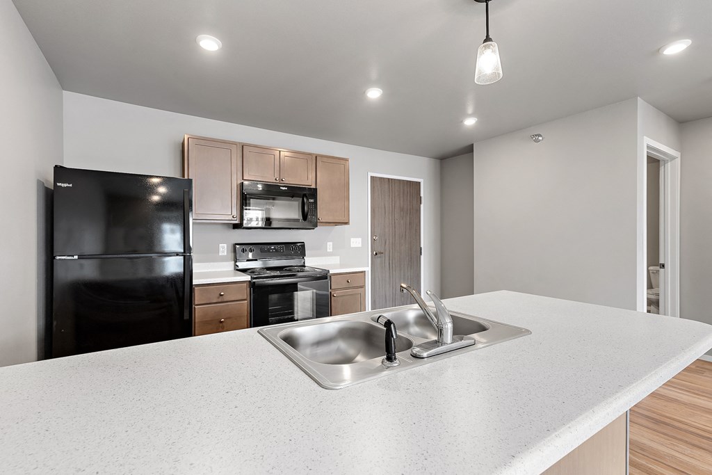 kitchen with black appliances