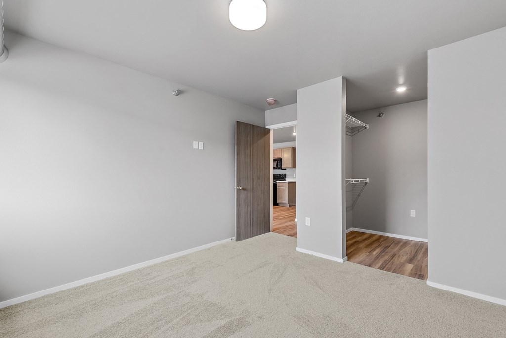bedroom with walk in closet