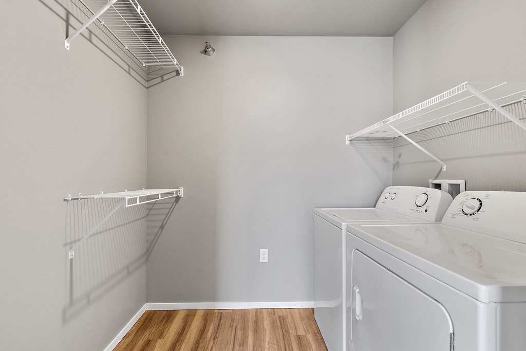 walk in closet with laundry