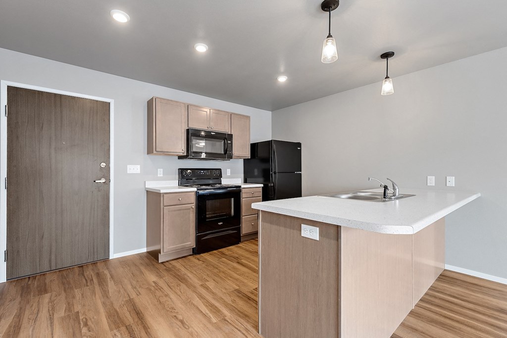 kitchen with black appliances