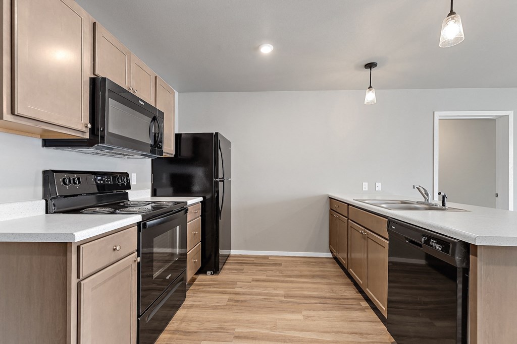 kitchen with black appliances