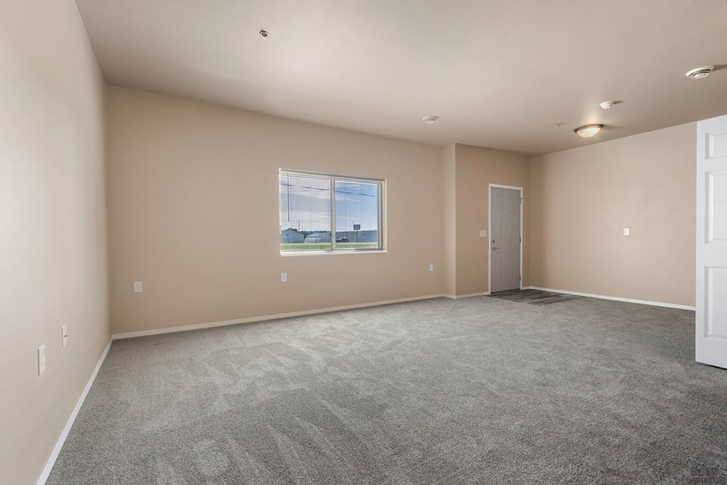 A large empty room with a carpeted floor and a window.