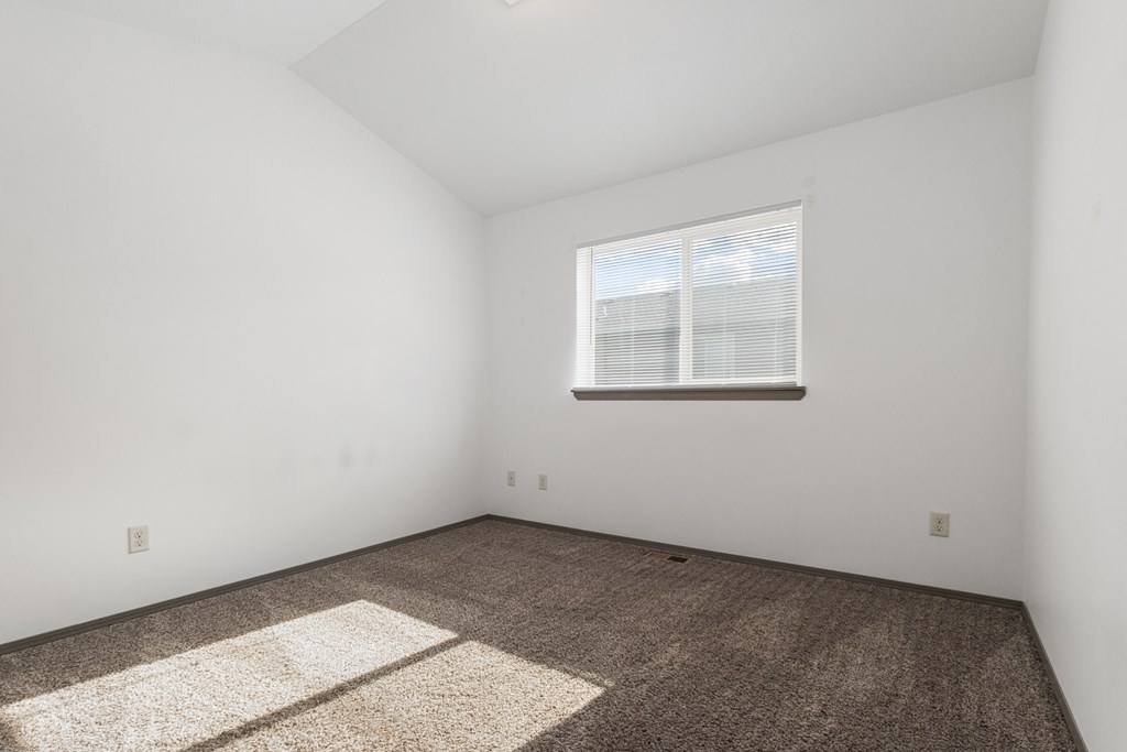 A room with a carpet and a window.