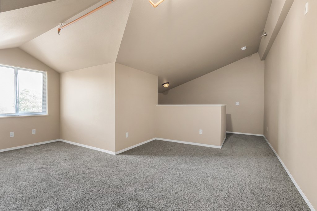 A spacious room with a window and a grey carpet.