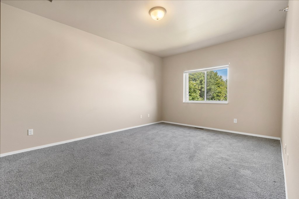 A room with a grey carpet and a window showing trees outside.