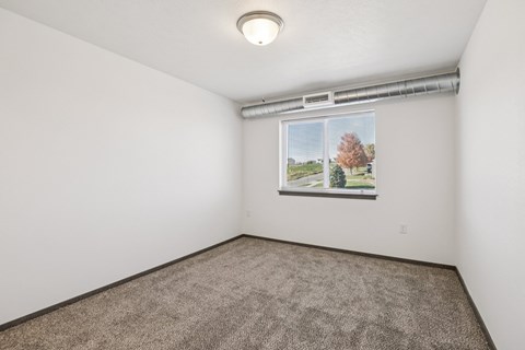 A room with a carpeted floor and a window showing a tree.