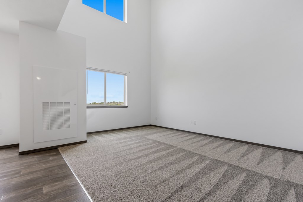 A room with a carpet, a window and a white door.