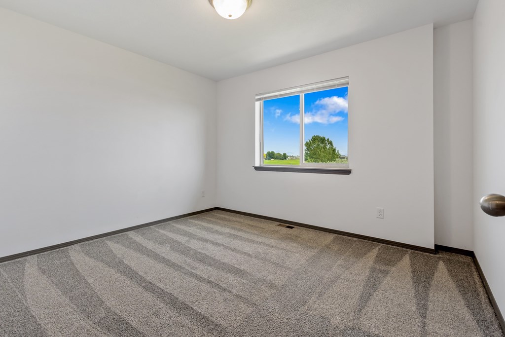 A room with a carpeted floor and a window showing a green tree and blue sky.
