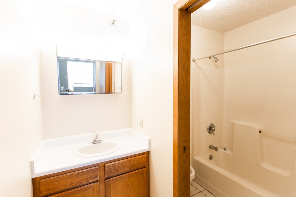 a bathroom with a sink and a shower and a mirror