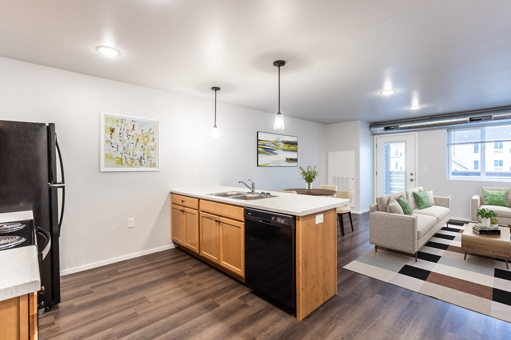 the preserve at ballantyne commons apartment living room and kitchen