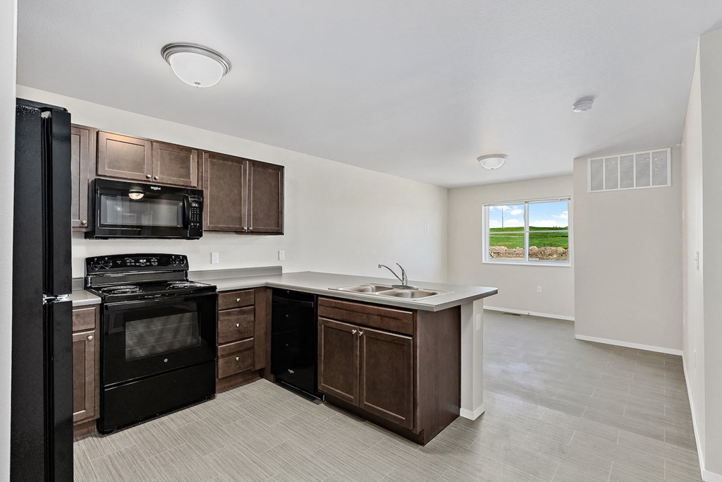 Kitchen with black appliances