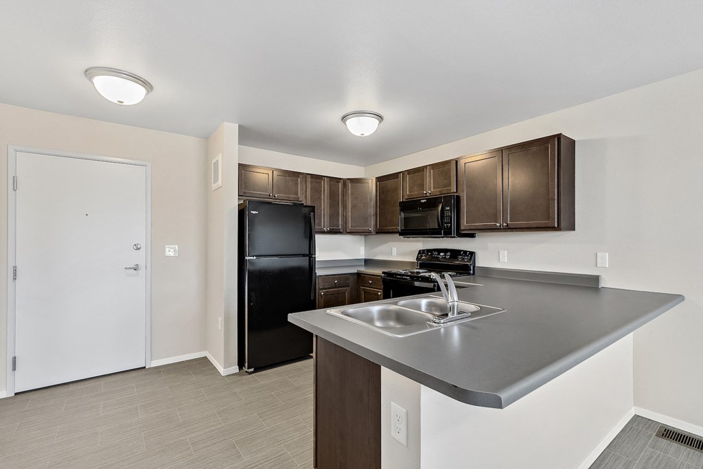 Kitchen with black appliances