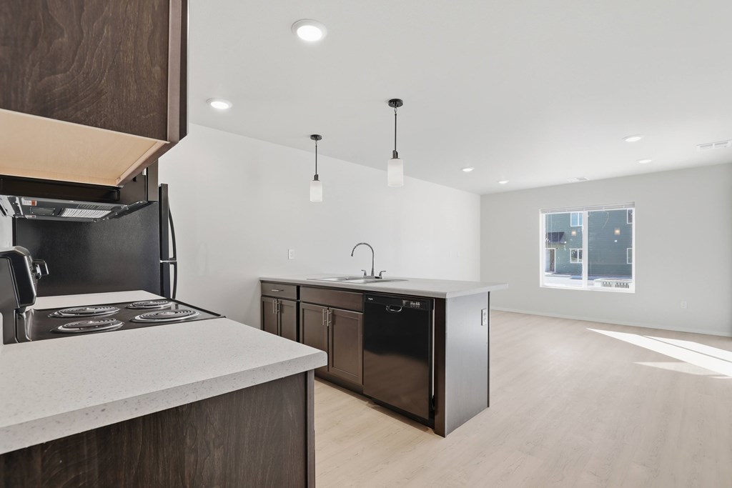 A modern kitchen with a black stove top oven and a black dishwasher.