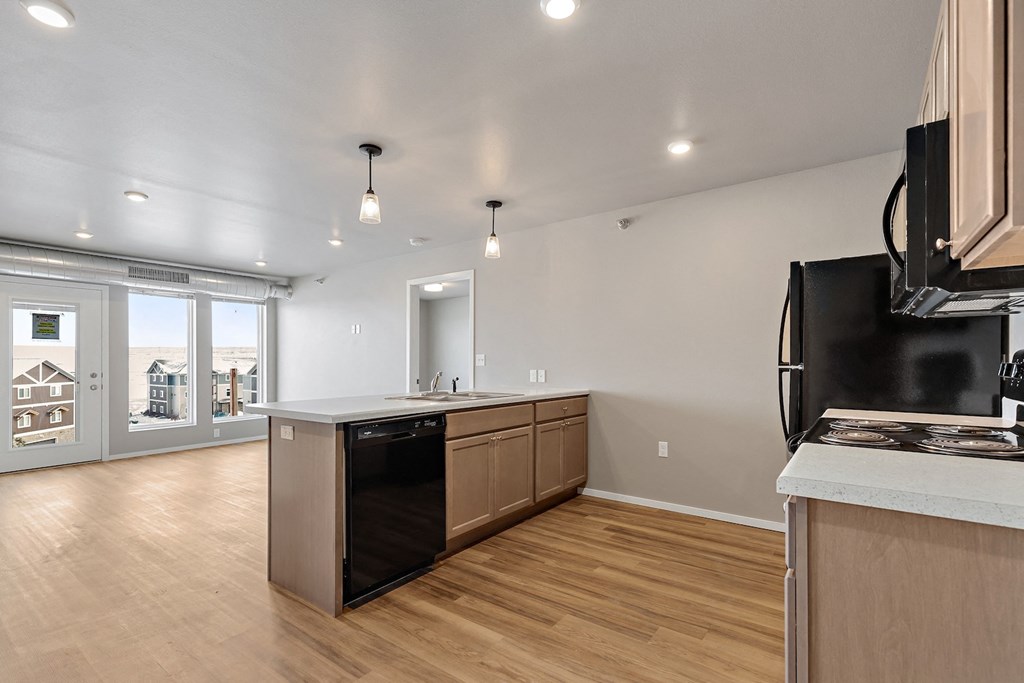 kitchen with black appliances
