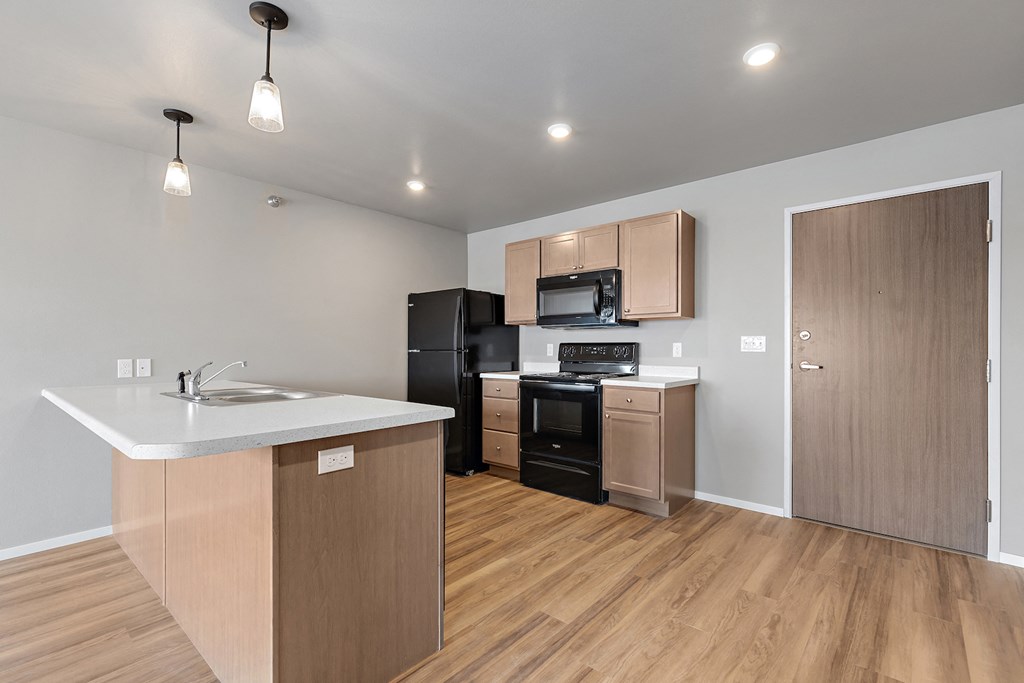 kitchen with black appliances