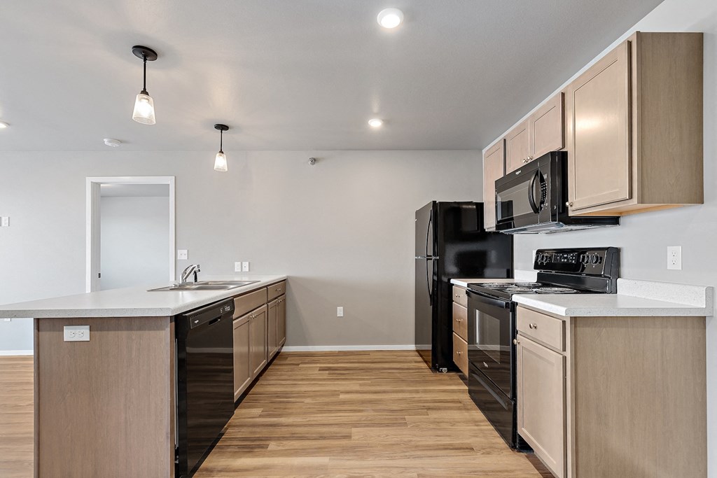 kitchen with black appliances