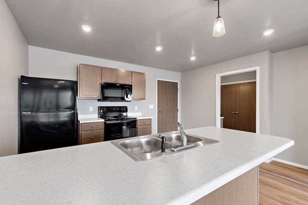 kitchen with black appliances