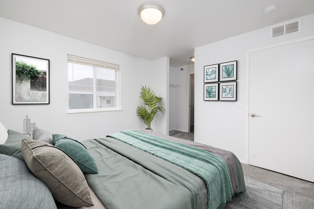 A bedroom with a bed, pillows, and a plant.