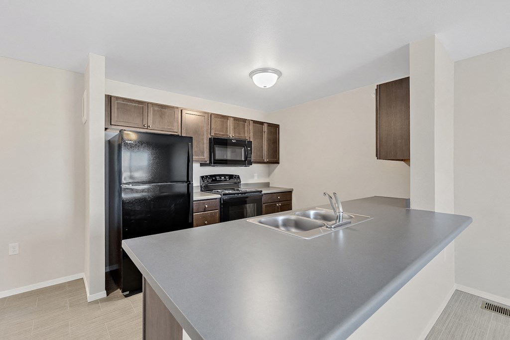 Kitchen with black appliances