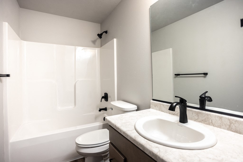 a bathroom with a sink and a toilet and a bath tub
