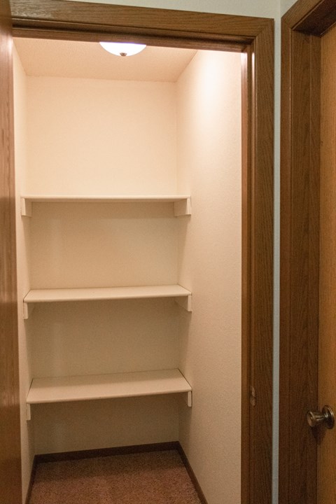 a closet with shelves and a light in it