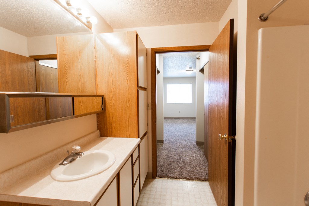 a bathroom with a sink and a mirror and a closet