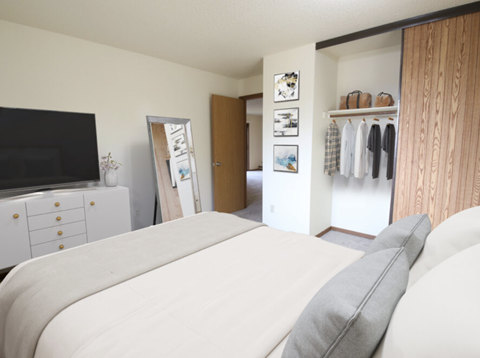 a bedroom with a bed and a tv and a closet