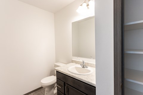 a bathroom with a sink and a toilet and a mirror