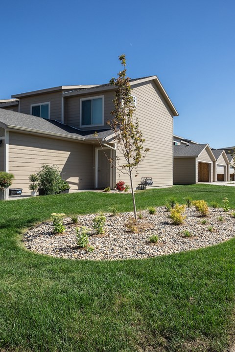 a front yard with a tree and a house