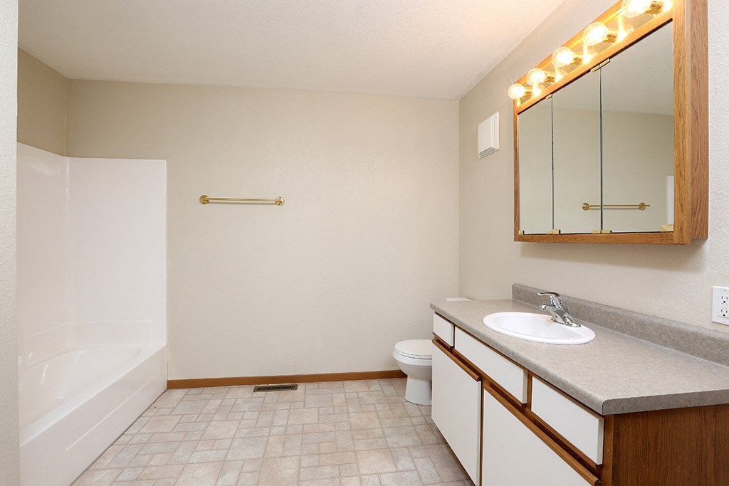 a bathroom with a sink and a toilet and a mirror
