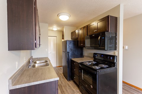 a kitchen with black appliances and a sink and a refrigerator