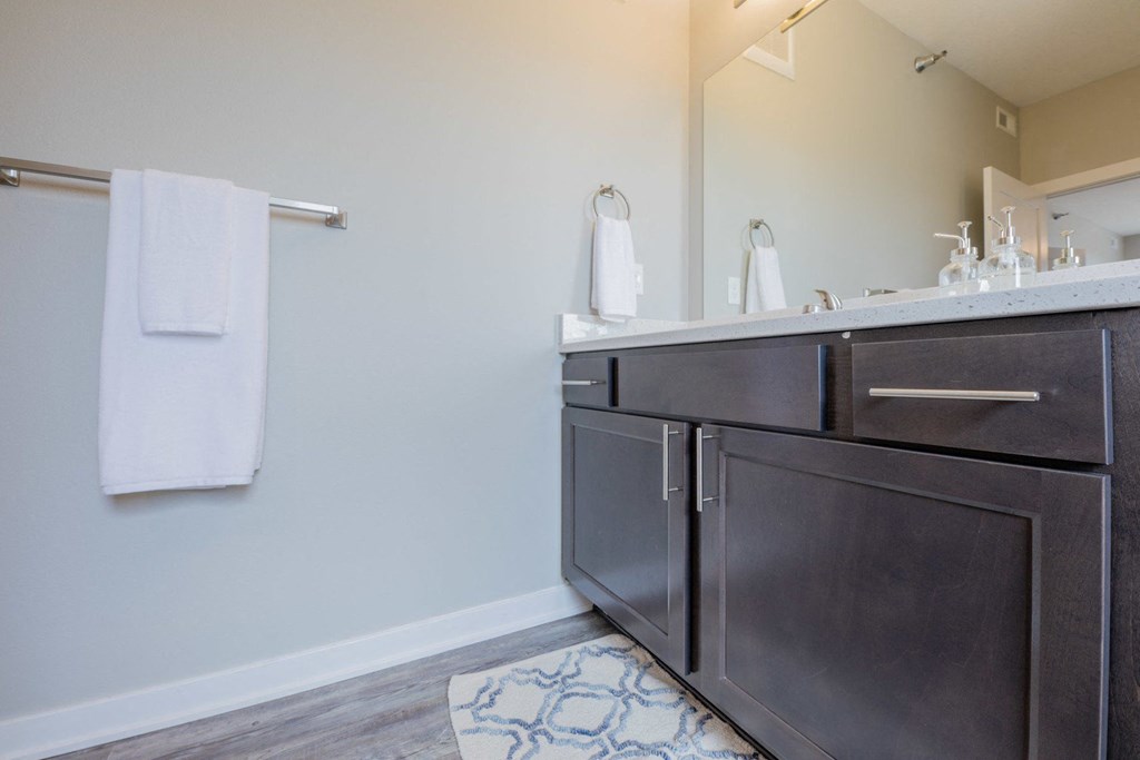 a bathroom with a sink and a mirror and a towel rack