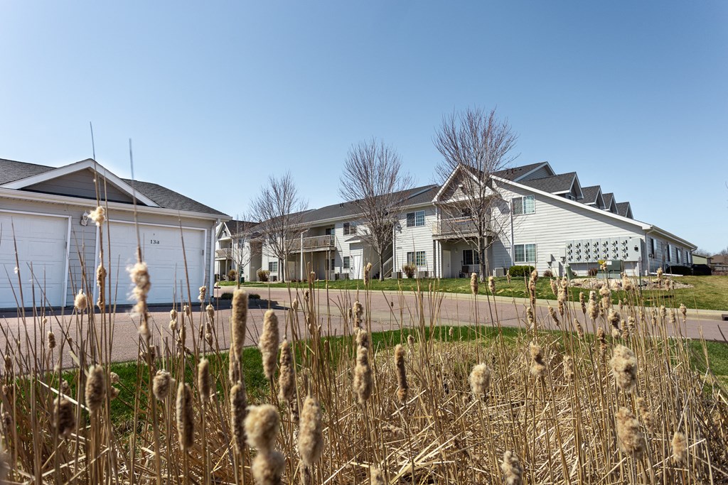 a row of houses on a street with weeds in the foreground