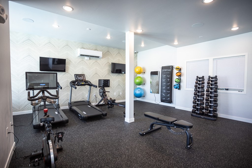 a gym with weights and cardio machines and a tv