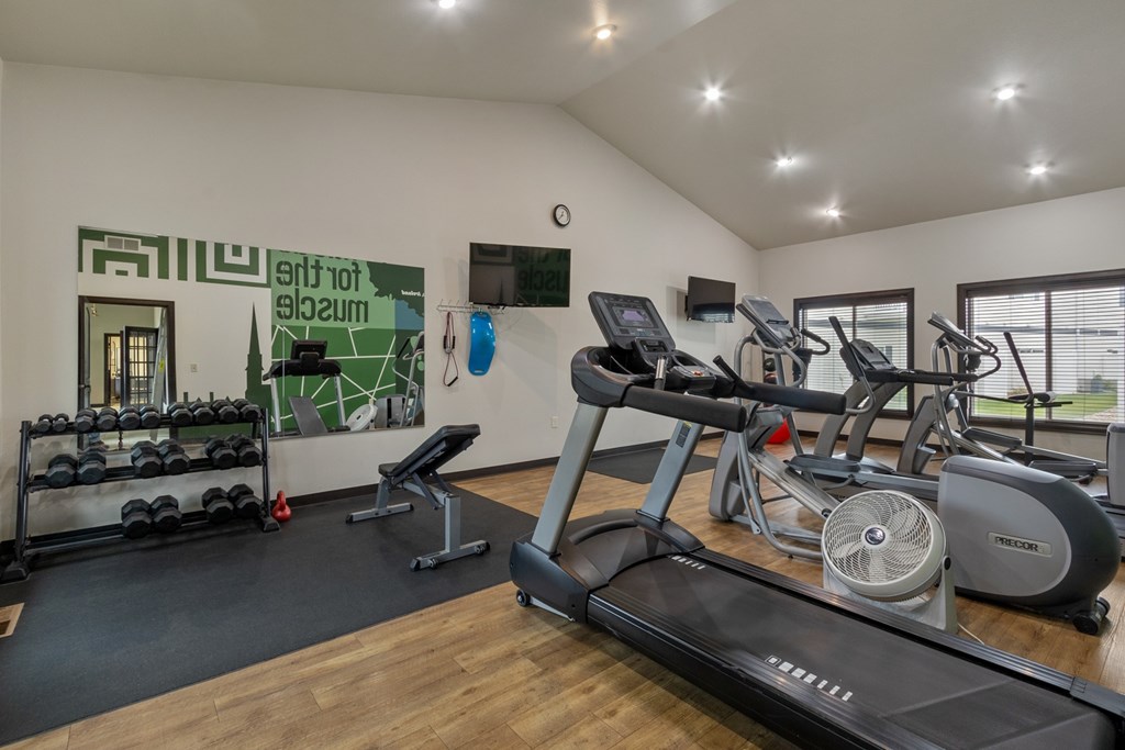 A gym with a treadmill, weights, and exercise equipment.