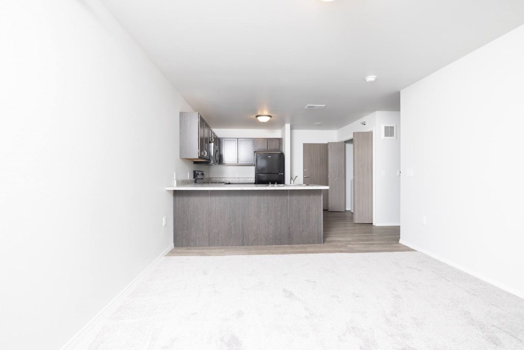 A kitchen with a counter and cabinets.