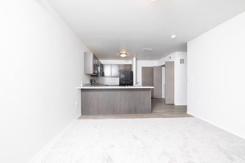 A kitchen with a counter and cabinets.