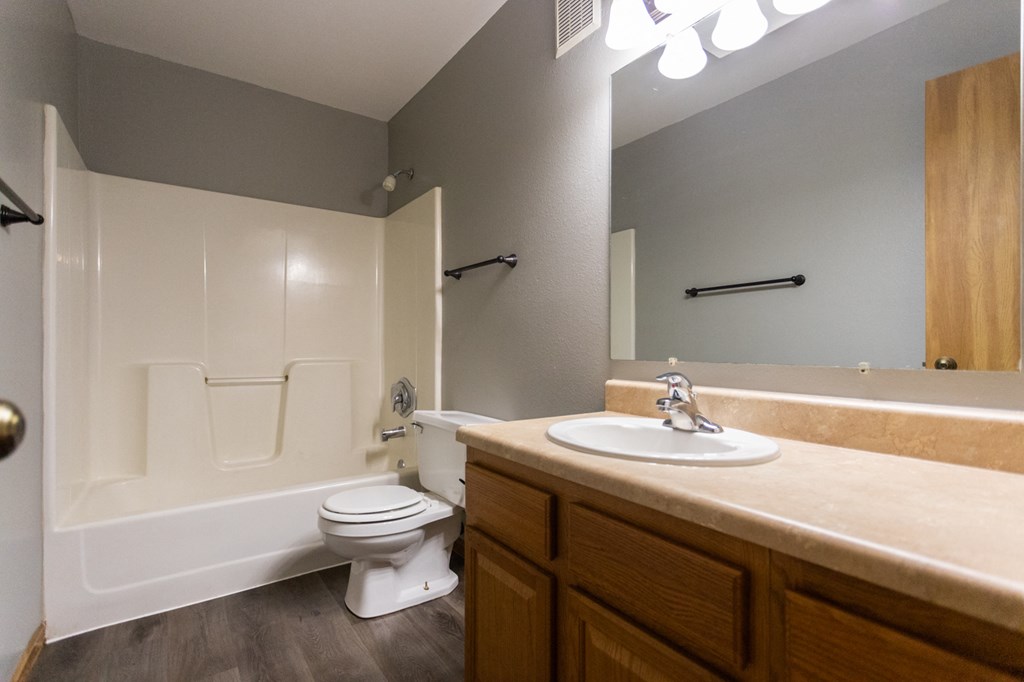 a bathroom with a sink and a toilet and a bath tub